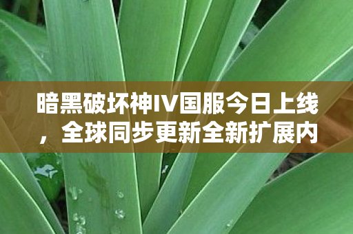暗黑破坏神IV国服今日上线，全球同步更新全新扩展内容