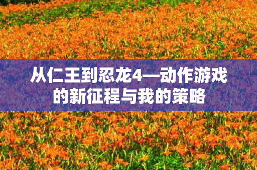 从仁王到忍龙4—动作游戏的新征程与我的策略