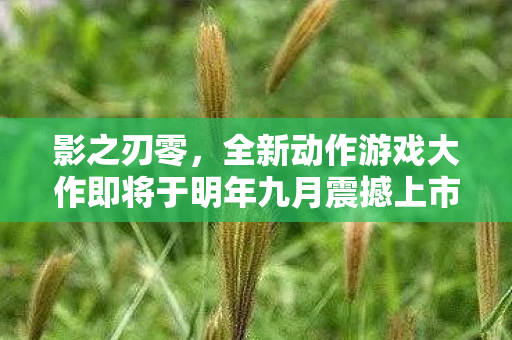 影之刃零，全新动作游戏大作即将于明年九月震撼上市！TGA 2025新游资讯大汇总