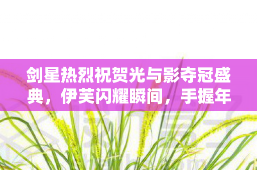 剑星热烈祝贺光与影夺冠盛典，伊芙闪耀瞬间，手握年度奖杯！