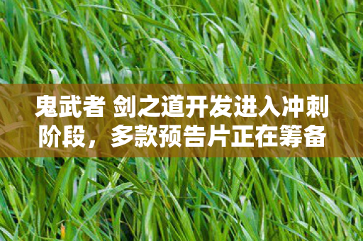 鬼武者 剑之道开发进入冲刺阶段，多款预告片正在筹备中