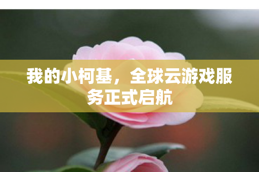 我的小柯基，全球云游戏服务正式启航