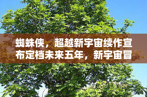 蜘蛛侠，超越新宇宙续作宣布定档未来五年，新宇宙冒险即将开启