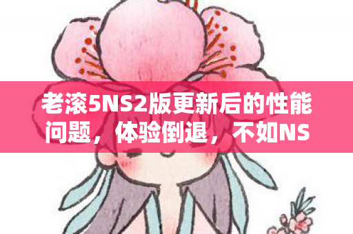 老滚5NS2版更新后的性能问题，体验倒退，不如NS1版