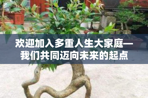 欢迎加入多重人生大家庭—我们共同迈向未来的起点