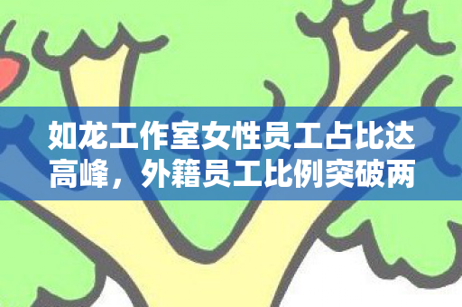 如龙工作室女性员工占比达高峰，外籍员工比例突破两位数—多元化团队的崛起与力量