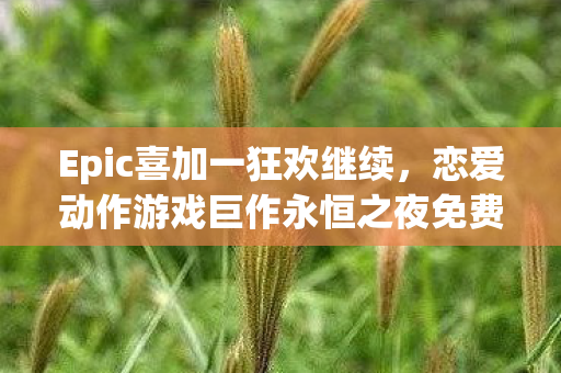 Epic喜加一狂欢继续，恋爱动作游戏巨作永恒之夜免费赠送！