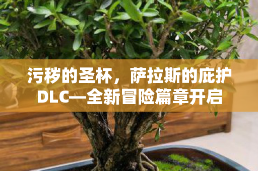 污秽的圣杯，萨拉斯的庇护DLC—全新冒险篇章开启