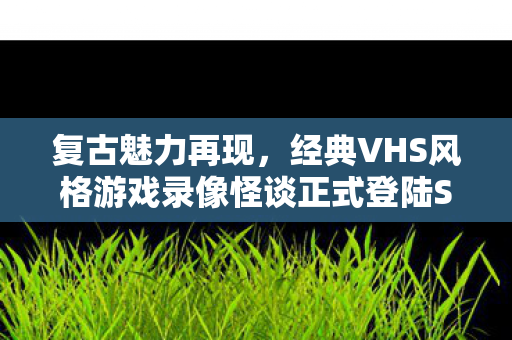 复古魅力再现，经典VHS风格游戏录像怪谈正式登陆Steam平台