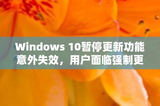 Windows 10暂停更新功能意外失效，用户面临强制更新的挑战