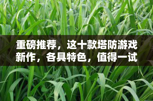 重磅推荐，这十款塔防游戏新作，各具特色，值得一试！