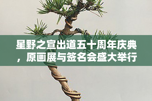 星野之宣出道五十周年庆典，原画展与签名会盛大举行