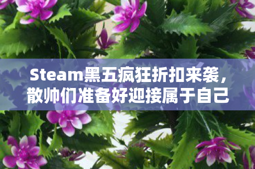 Steam黑五疯狂折扣来袭，散帅们准备好迎接属于自己的双十一了吗？