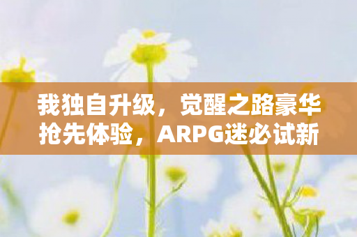 我独自升级，觉醒之路豪华抢先体验，ARPG迷必试新游！