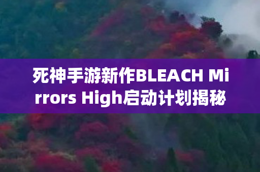 死神手游新作BLEACH Mirrors High启动计划揭秘