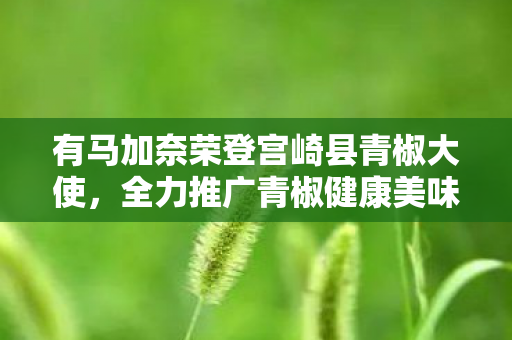 有马加奈荣登宫崎县青椒大使，全力推广青椒健康美味