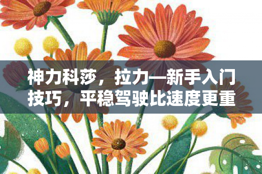 神力科莎，拉力—新手入门技巧，平稳驾驶比速度更重要