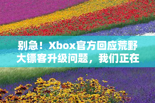 别急！Xbox官方回应荒野大镖客升级问题，我们正在处理！