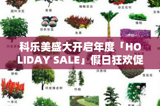 科乐美盛大开启年度「HOLIDAY SALE」假日狂欢促销活动！