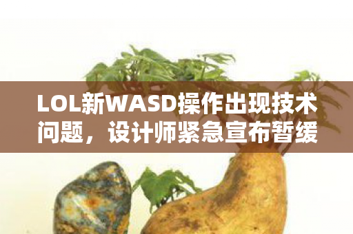 LOL新WASD操作出现技术问题，设计师紧急宣布暂缓上线