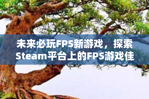 未来必玩FPS新游戏，探索Steam平台上的FPS游戏佳作（XXXX年）