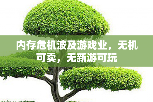 内存危机波及游戏业，无机可卖，无新游可玩