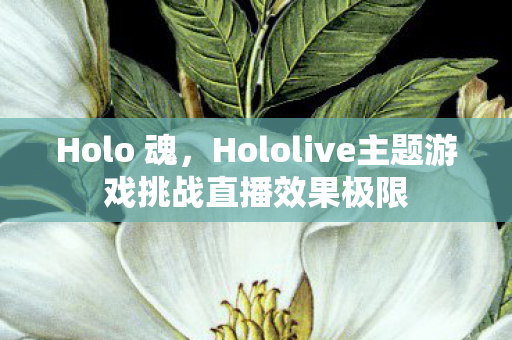 Holo 魂，Hololive主题游戏挑战直播效果极限