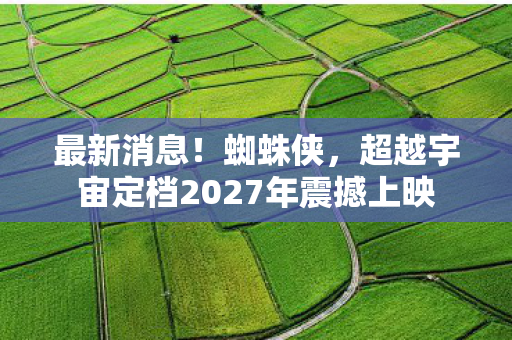 最新消息！蜘蛛侠，超越宇宙定档2027年震撼上映