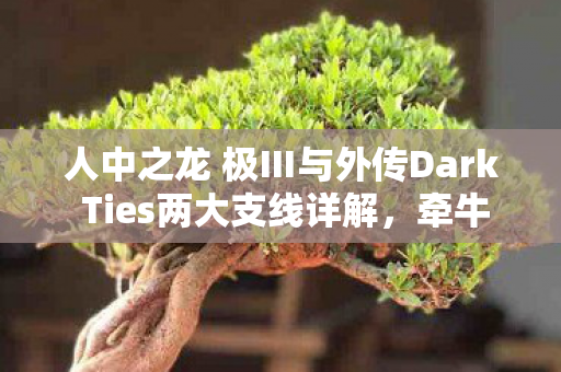人中之龙 极Ⅲ与外传Dark Ties两大支线详解，牵牛花的日常与神田社会形象重塑计划