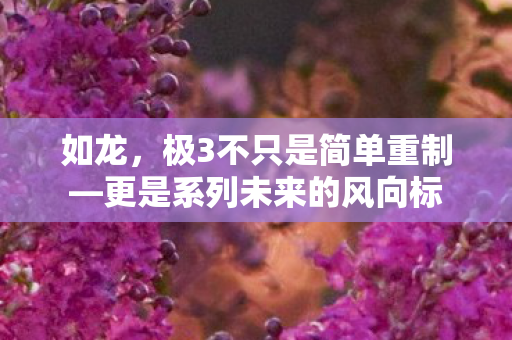 如龙，极3不只是简单重制—更是系列未来的风向标
