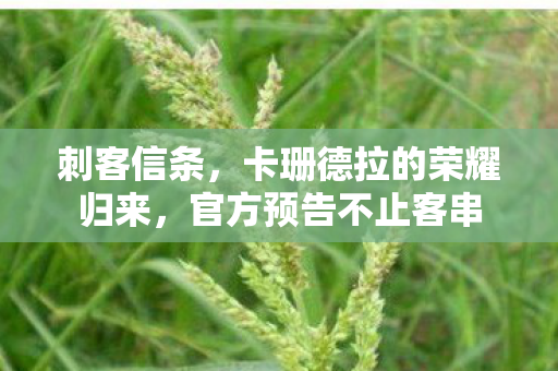 刺客信条，卡珊德拉的荣耀归来，官方预告不止客串