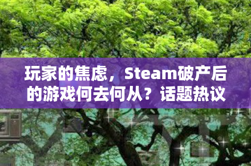 玩家的焦虑，Steam破产后的游戏何去何从？话题热议不断