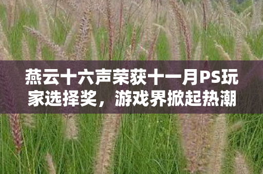 燕云十六声荣获十一月PS玩家选择奖，游戏界掀起热潮！