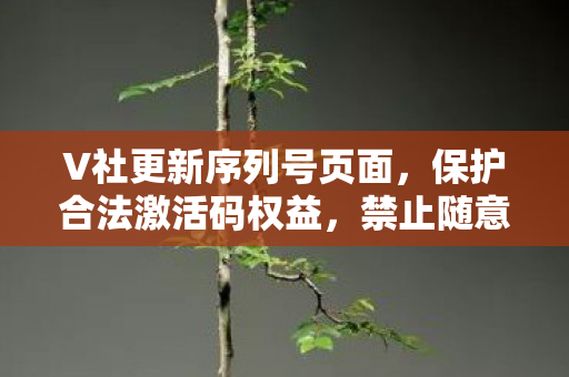 V社更新序列号页面，保护合法激活码权益，禁止随意禁用！