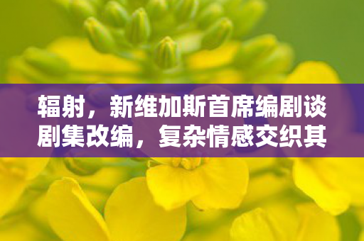 辐射，新维加斯首席编剧谈剧集改编，复杂情感交织其中