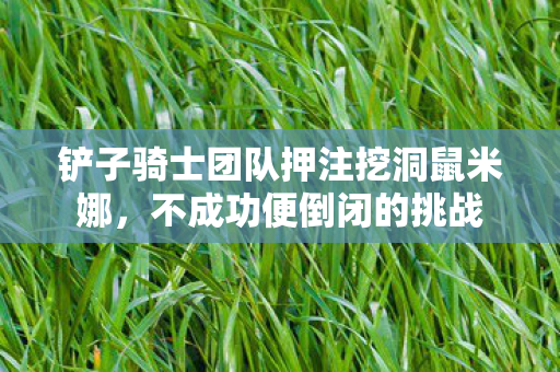 铲子骑士团队押注挖洞鼠米娜，不成功便倒闭的挑战