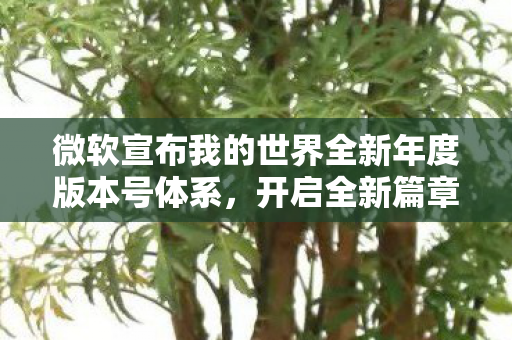 微软宣布我的世界全新年度版本号体系，开启全新篇章，迎接未来更新之旅