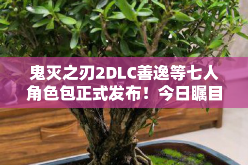 鬼灭之刃2DLC善逸等七人角色包正式发布！今日瞩目亮点解析