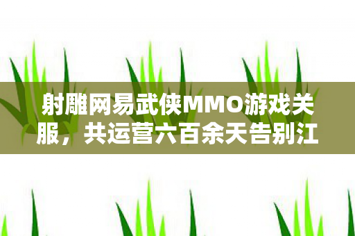 射雕网易武侠MMO游戏关服，共运营六百余天告别江湖