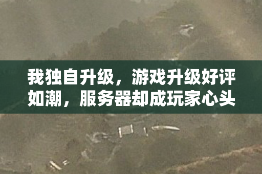 我独自升级，游戏升级好评如潮，服务器却成玩家心头隐忧