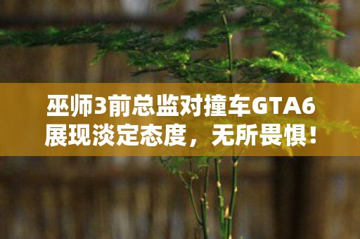 巫师3前总监对撞车GTA6展现淡定态度，无所畏惧！