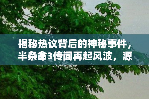 揭秘热议背后的神秘事件，半条命3传闻再起风波，源自TGA创始人神秘截图引发讨论热潮