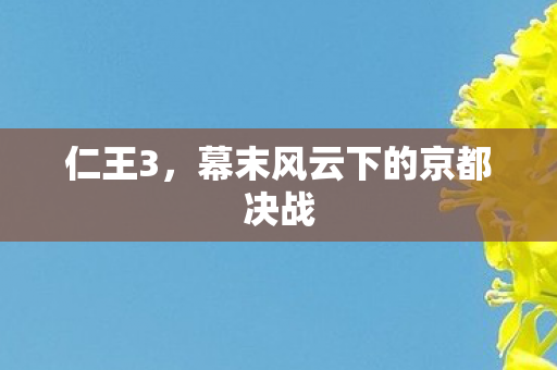 仁王3，幕末风云下的京都决战