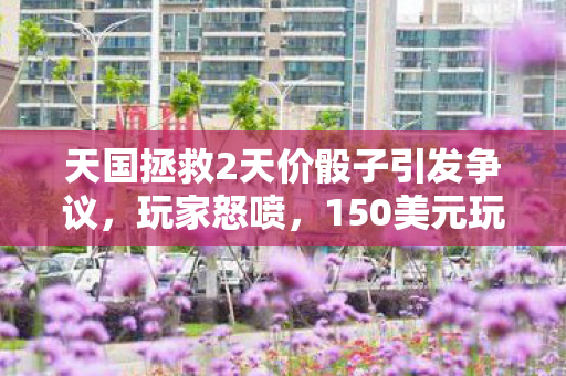 天国拯救2天价骰子引发争议，玩家怒喷，150美元玩不起？