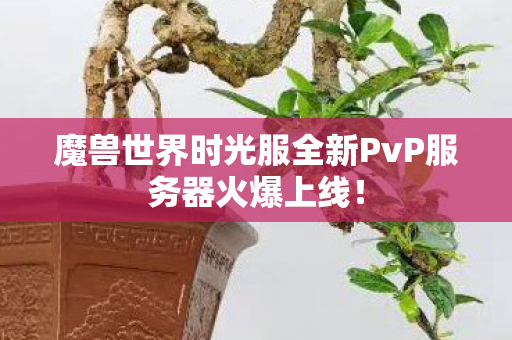 魔兽世界时光服全新PvP服务器火爆上线！