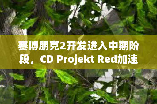 赛博朋克2开发进入中期阶段，CD Projekt Red加速开发进程