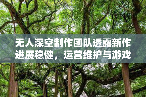 无人深空制作团队透露新作进展稳健，运营维护与游戏更新仍是工作重心