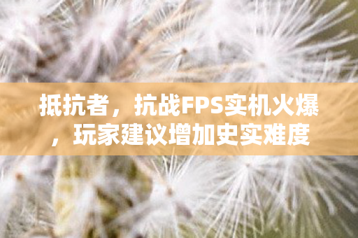 抵抗者，抗战FPS实机火爆，玩家建议增加史实难度