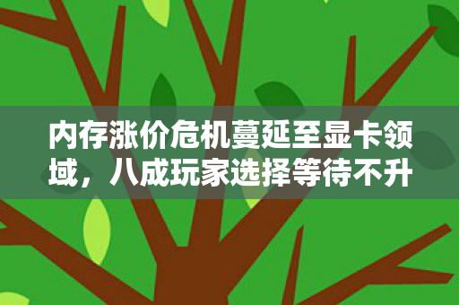 内存涨价危机蔓延至显卡领域，八成玩家选择等待不升级