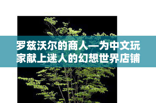 罗兹沃尔的商人—为中文玩家献上迷人的幻想世界店铺经营体验